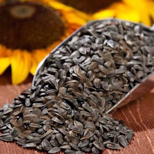 Sunflower seeds for Birds